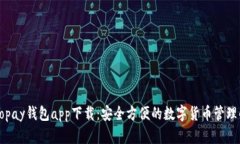 虚拟币Topay钱包app下载：安