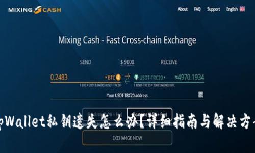 tpWallet私钥遗失怎么办？详细指南与解决方案