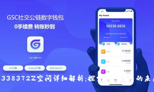 tpWallet1338372Z空间详细解析：探索加密货币的未来与安全性