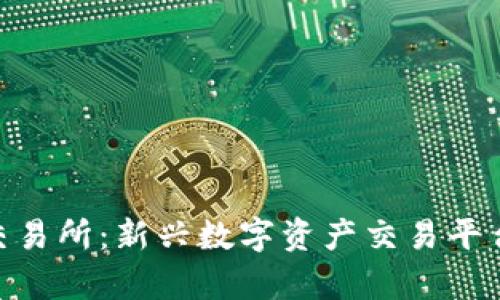 BitParker交易所：新兴数字资产交易平台的全面解析