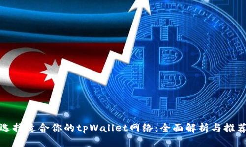 选择适合你的tpWallet网络：全面解析与推荐