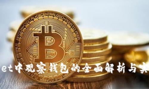 tpWallet中观察钱包的全面解析与实用技巧