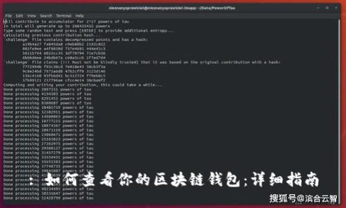 : 如何查看你的区块链钱包：详细指南