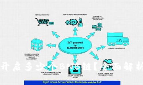 tpWallet能开启多少个BNB链？全面解析与实用技巧