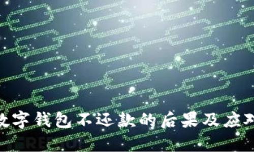 使用数字钱包不还款的后果及应对措施