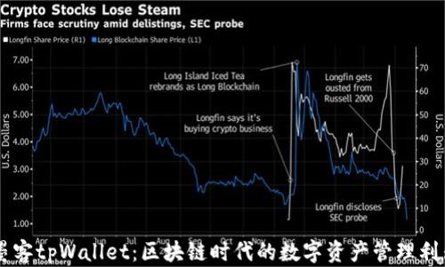 
墨客tpWallet：区块链时代的数字资产管理利器