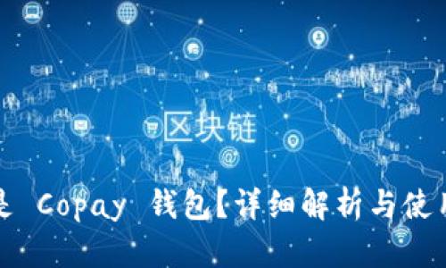 什么是 Copay 钱包？详细解析与使用指南