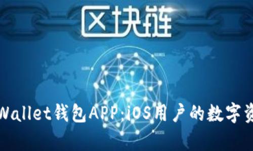 全面解析tpWallet钱包APP：iOS用户的数字资产管理利器