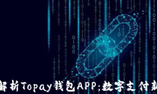 
全面解析Topay钱包APP：数字支付新体验