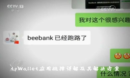 tpWallet应用故障详解及其解决方案