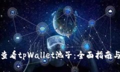 如何查看tpWallet池子：全面