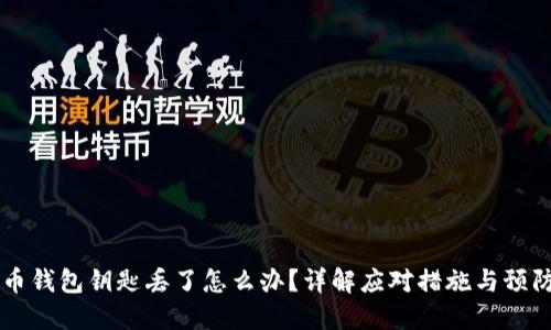 虚拟币钱包钥匙丢了怎么办？详解应对措施与预防方法