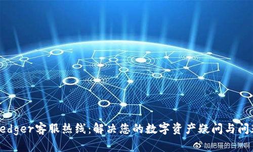 Ledger客服热线：解决您的数字资产疑问与问题