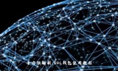 全方位解析：SOL钱包使用