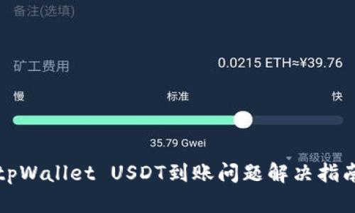 tpWallet USDT到账问题解决指南