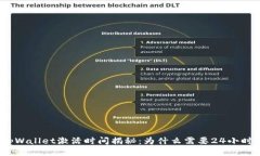 tpWallet激活时间揭秘：为什么需要24小时？