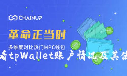 如何查看tpWallet账户情况及其使用指南