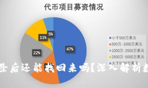 tpWallet清除后还能找回来吗？深入解析数据恢复方法