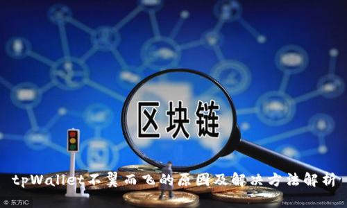 tpWallet不翼而飞的原因及解决方法解析