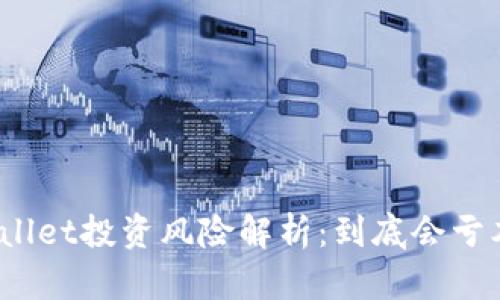 tpWallet投资风险解析：到底会亏本吗？