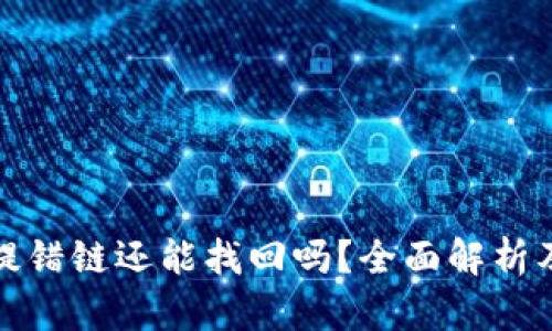 tpWallet提错链还能找回吗？全面解析及应对措施