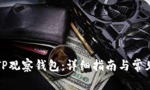 如何通过TP观察钱包：详细指南与常见问题解答