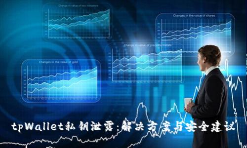 tpWallet私钥泄露：解决方案与安全建议