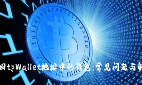 如何找回tpWallet地址中的钱包：常见问题与解决方案