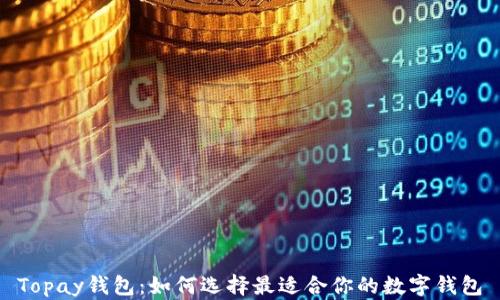 
Topay钱包：如何选择最适合你的数字钱包