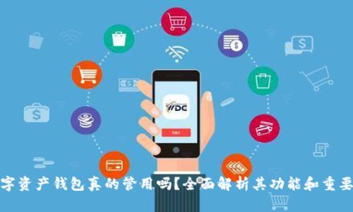 数字资产钱包真的管用吗？全面解析其功能和重要性
