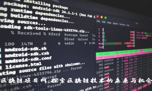 区块链项目网：探索区块链技术的未来与机会