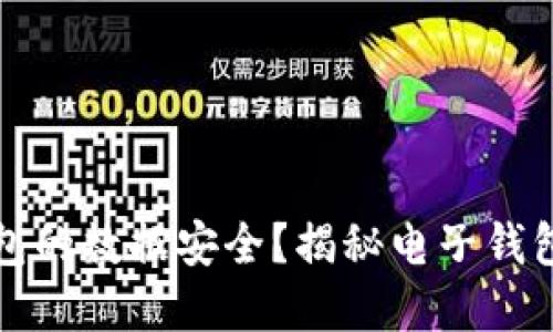 如何保障电子钱包的数据安全？揭秘电子钱包的数据加密技术