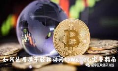如何使用梯子轻松访问t