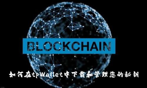 如何在tpWallet中下载和管理您的秘钥