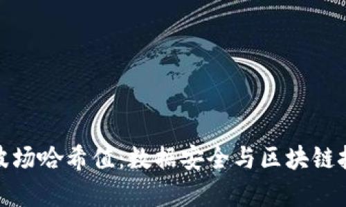 深入解析波场哈希值：数据安全与区块链技术的结合