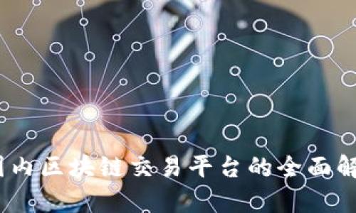 2023年国内区块链交易平台的全面解析与比较