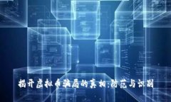 揭开虚拟币骗局的真相：