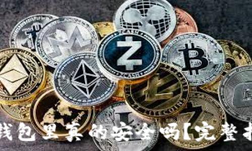   
虚拟币存放在钱包里真的安全吗？完整指南与风险分析