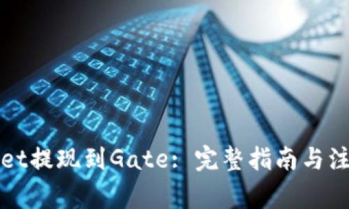 tpWallet提现到Gate: 完整指南与注意事项