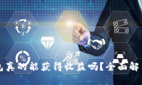 虚拟币放钱包真的能获得收益吗？全面解析与实用指南