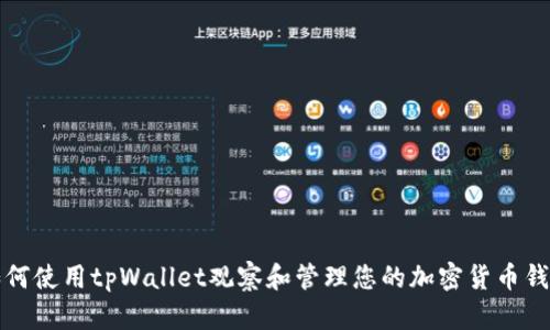 如何使用tpWallet观察和管理您的加密货币钱包