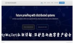 tpWallet私钥详解：保护您的