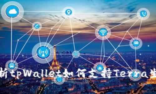 全面解析tpWallet如何支持Terra生态系统