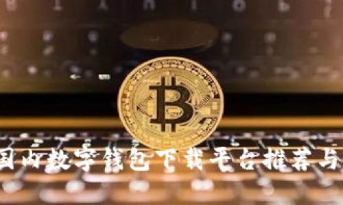 2023年国内数字钱包下载平台推荐与使用指南