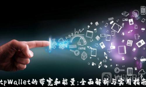 
tpWallet的带宽和能量：全面解析与实用指南