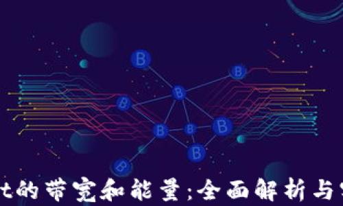 
tpWallet的带宽和能量：全面解析与实用指南