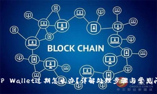 : TP Wallet过期怎么办？详解处理步骤与常见问题