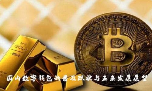 国内数字钱包的普及现状与未来发展展望