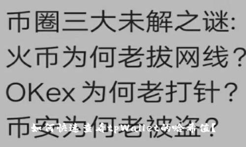 如何快速查看tpWallet的哈希值？
