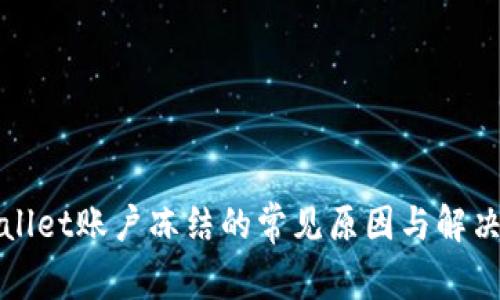 tpWallet账户冻结的常见原因与解决方案